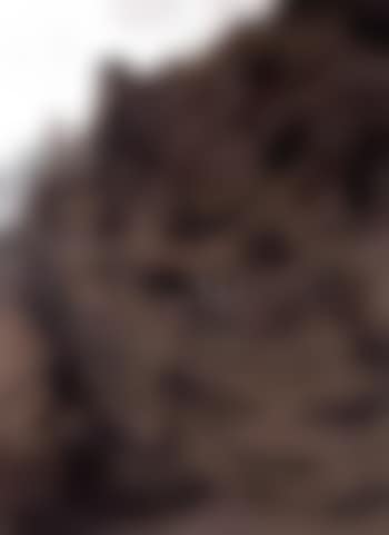 A hill farmer and his dog (preview)