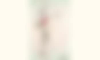 Rasa II (preview)