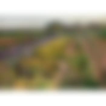 Gardens of Grafenegg (preview)