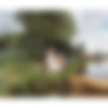 Summer reverie (preview)