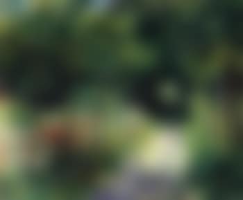 Femmes dans un jardin (preview)