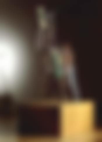 Open shoe (preview)