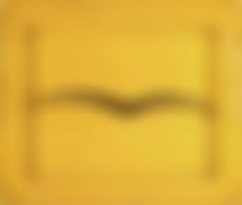 Yellow seagull (preview)