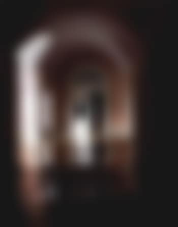 Pink hallway III (preview)