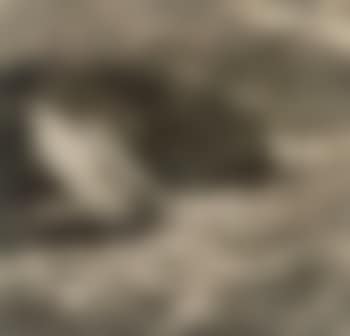 Sailing vessel in squall (preview)