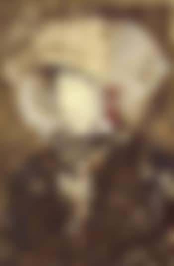 Dama con tocado blanco (preview)