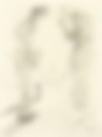 Angelus de Millet (preview)