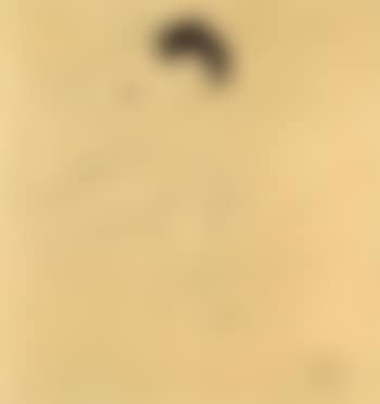 Seated male nude (preview)
