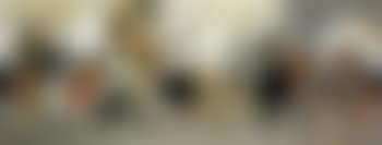 Bull fighter (preview)