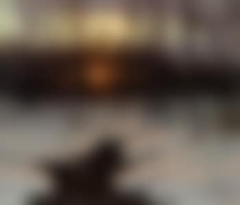 The sunset (preview)