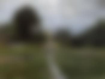After the rain (preview)
