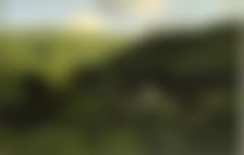 The watermill, sunset (preview)