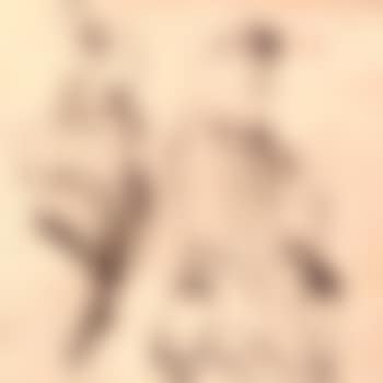 The soldiers of King Albert the Ready (preview)
