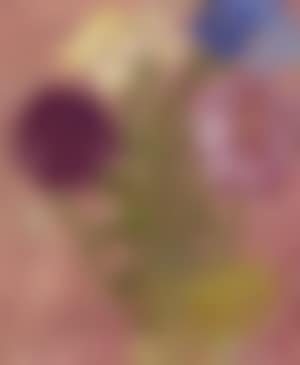 Bouquet (preview)