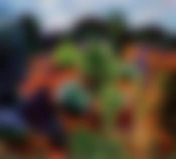 Sunburnt landscape (preview)