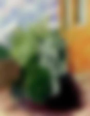 Flowering shrub (preview)