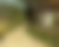 Summer landscape (preview)