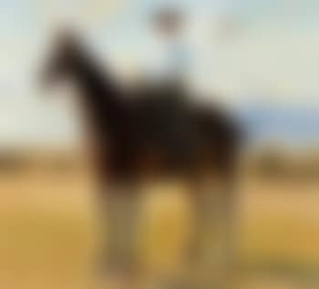 Young woman on horseback (preview)