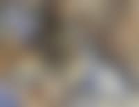 Personnages (preview)