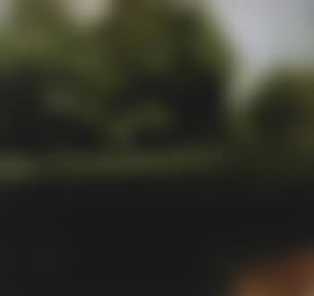 At the edge of the forest (preview)