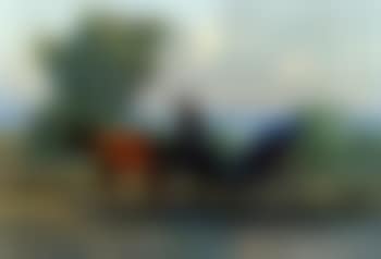 Cart at Ardenza (preview)
