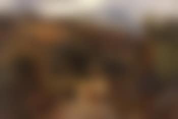 Ari Bahn and Balloch Grodich (preview)