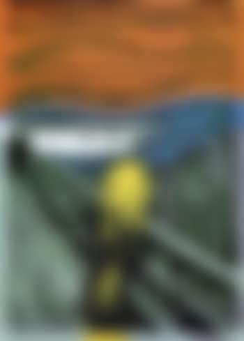 The scream (preview)
