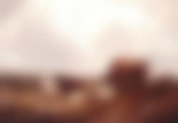 Cattle and sheep grazing (preview)