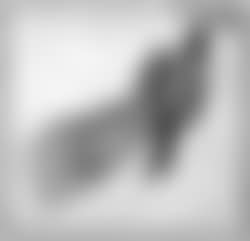 Studies of hands (preview)