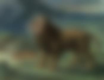 Lion et lionne dans les montagnes (preview)