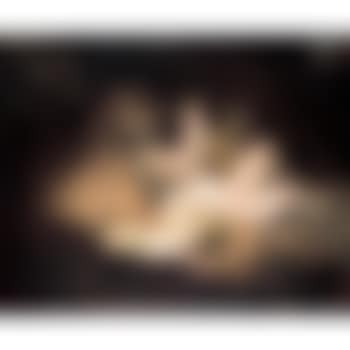 The infant bacchus (preview)