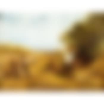 The keg (preview)