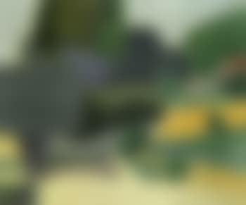 Paysage (preview)