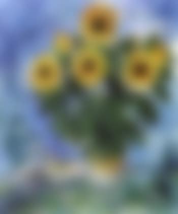 Tournesols a Saint-Paul (preview)