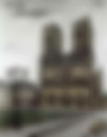 La cathedrale de Notre Dame (preview)