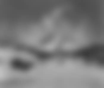 Sunlit snowy landscape (preview)