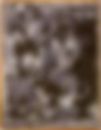 Jasper Johns - Shade (preview)