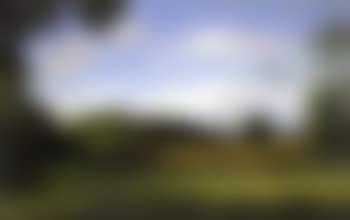 Summer's day (preview)
