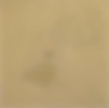 Kneeling female nude wearing yellow stockings (preview)