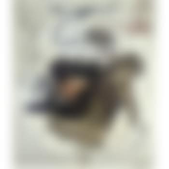 Generation - Ash (preview)