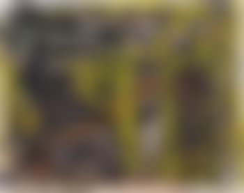 Congolese market (preview)