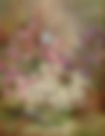 Primroses. Heather (preview)
