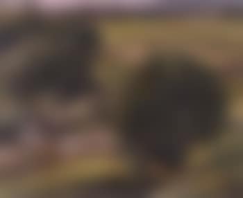 North Island rural landscape (preview)