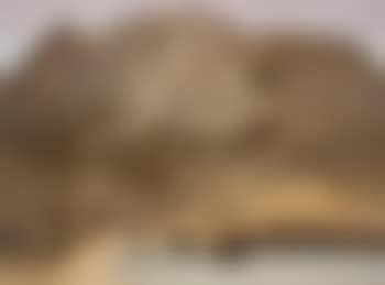 Fishing port (preview)
