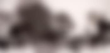 No.6 (preview)
