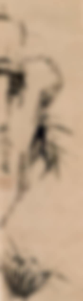 Orchid, bamboo and rock (preview)