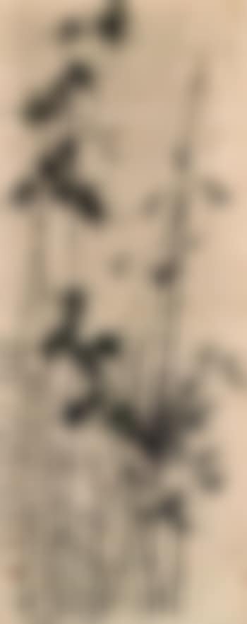 Bamboo (preview)