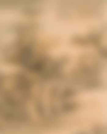 Landscape (preview)