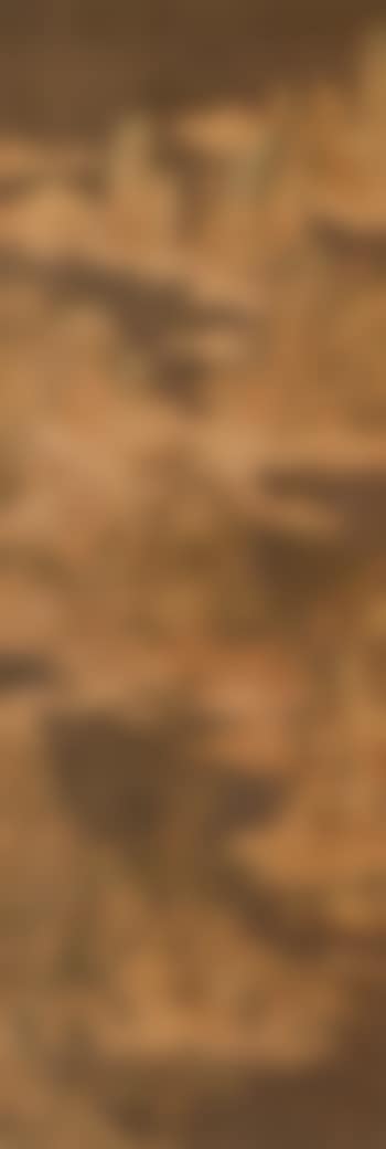 Landscape (preview)