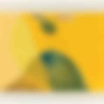 Ugdosh from Bird, Mountain and Tree Series (preview)